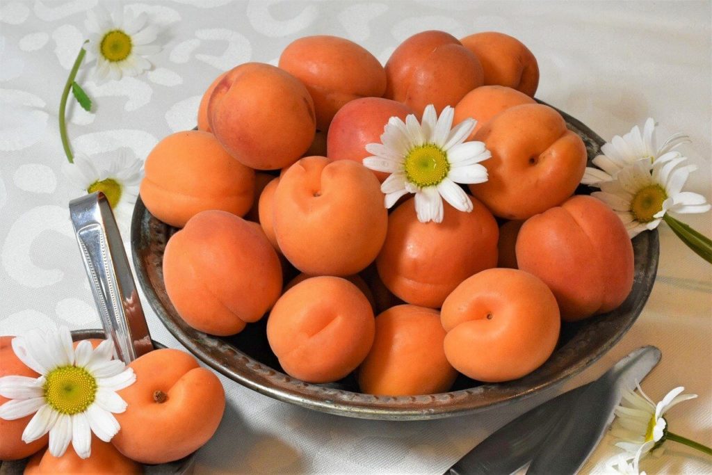 Kirsch-Aprikosen-Marmelade - Das Früchte-Duo am Morgen